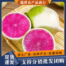 心里美水果萝卜甜脆水果型潍坊潍县新鲜正宗生吃5青绿皮红心萝卜