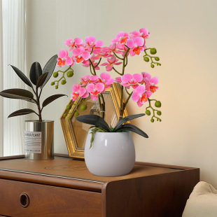 Simulation Phalaenopsis potted fake flower suit artificial flower bonsai living room ornaments silk flower display flower factory wholesale