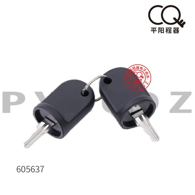 Ignition Lock Key – Ignition switch