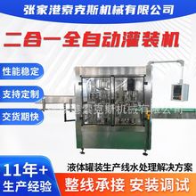 厂家定制二合一食用油玻璃水灌装机全自动灌装及封盖生产线设备