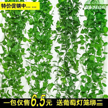 �G�jֲ��پG�~�ٗl����������������~���bܵ��p�@�v�G������