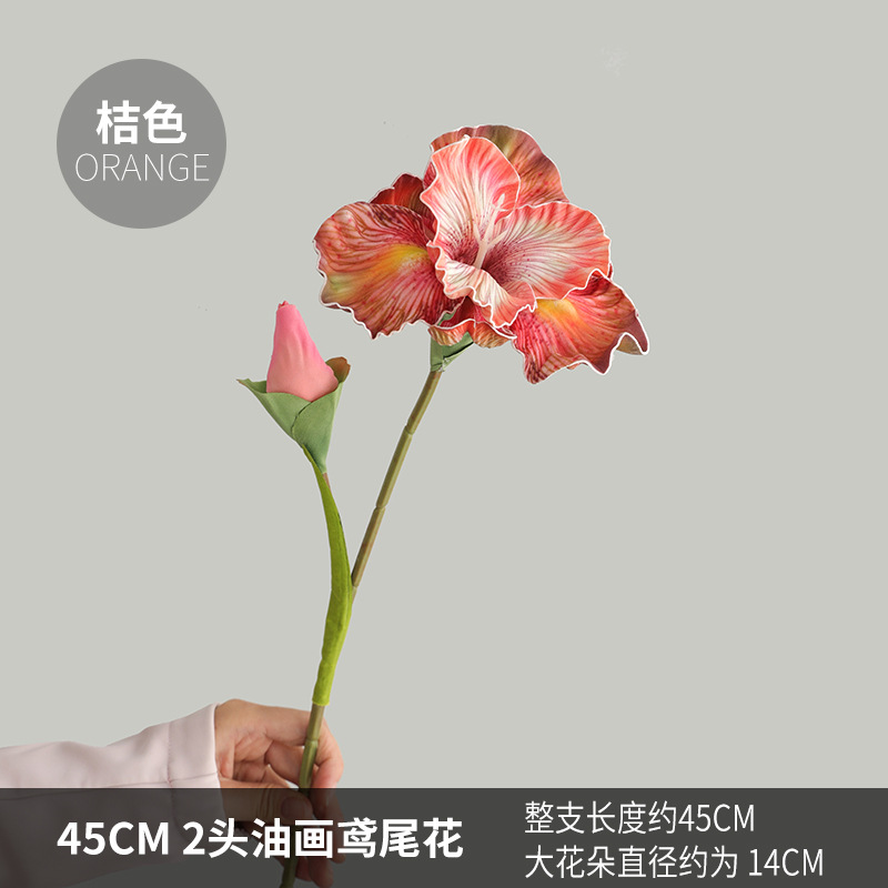 오렌지 오렌지