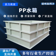 厂家供应pp水箱加工生产塑料水槽防腐耐酸碱pp电解槽pp水箱酸洗池
