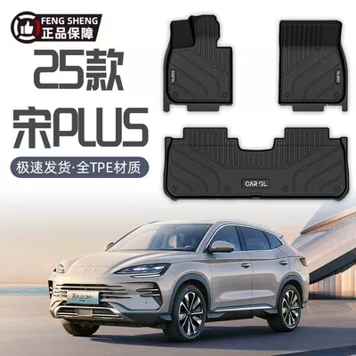 Universal Foot Pad – BYD BYD Song PLUS