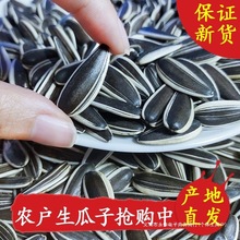 wr/ӟoëM aСԡ