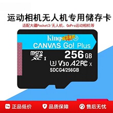 ��ʿ�D����tf�ȴ濨128g256gb�O����܇ӛ䛃x��ƽ��pocket3�m��