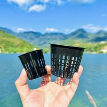 水培定植篮控根盆无土栽培绿萝蝴蝶兰花蔬菜多肉花卉固根杯种植器