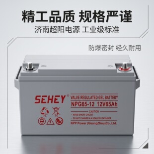 SEHEY ���� NPG100-12 �z�w��늳� 12V65AH100AH/120AH/150AH