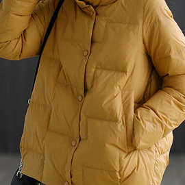 新款立领羽绒棉服女冬季韩版宽松百搭轻薄款棉衣短款外套棉袄