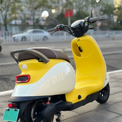 Electric car rear backrest — No.9 Electric Vehicle Q85C