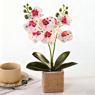Two-Pronged 8-Flower Phalaenopsis Bonsai Artificial Flower Fashion Creative Flower Decoration Ornaments Artificial Green Plant Artificial Potted Plant
