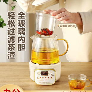 Mini Health Pot Household Multi-Functional Office Small One-Person Teapot Tea Maker New Style Wholesale