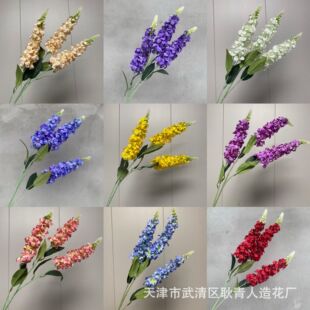 ��֧���~�ݷ��滨�w������_�m�Ҿӻ�c�Ҿ��b����羳���l�ٻ�