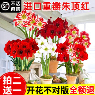 ��피t�M���ذ�N�򎧻�����������피t���Ի��҃��̨�Gֲ����B