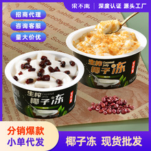 果不离椰子冻220g*24杯整箱生榨椰子果冻 厂家红豆/椰粒果冻批发