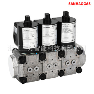 sanhaogas����ȼ��늴��yVAS1ϵ2ϵ3ϵ�M���y�ɶλ��{��220V