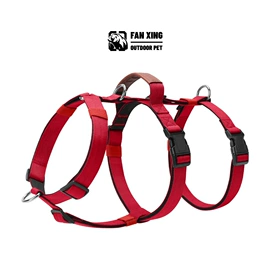 狗狗牵引;宠物项圈;嘴套