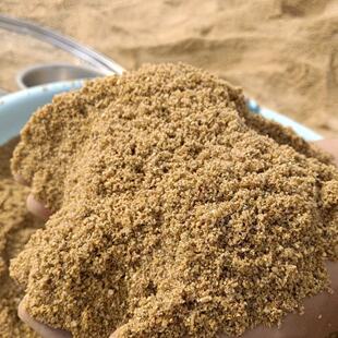 ��Ȼ��ɳ��ͯ��ɳ�N�������쾰����ɳ�~�~�׶����ɳ�Nֲ���Bɳ��