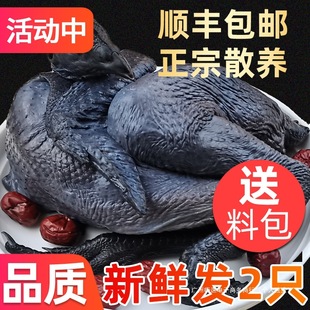 ���u���r�F�����u�����u����u�����r��ɢ�B�ߵ��u�r��������ĸ�u