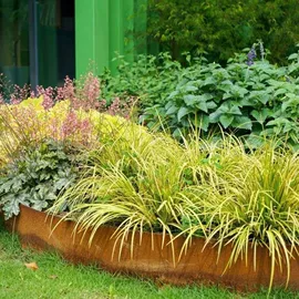 盆栽;园林果树;种子