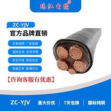 廣東珠江電纜ZC-YJV純銅國標阻燃電纜線3+1/3+2/4+1芯鋁線耐高溫