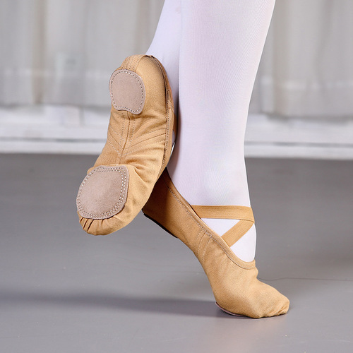 Stretch cloth dance shoes women's soft sole practice shoes adult yoga shoes new cat claw shoes ballet shoes body shoes wholesale