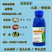 �����_�G��29%����&middot;�׾��� �S�����������׷۲��P���rș������