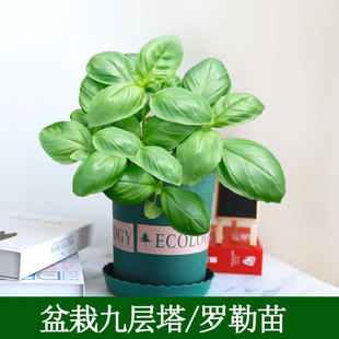 �ļ�������N�ӷN���_�վŌ��Ͽ�ʳ�ý𲻓Q������~���~�������