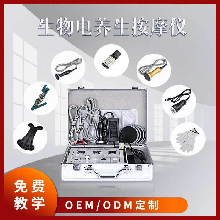 Dds生物電気マッサージ器理学療法経絡電気治療器人体経絡細胞修復器養生掻爬dds|undefined