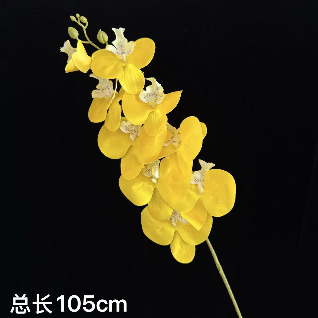 밝은 노란색