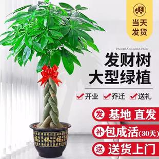 �����B��lؔ��͏d���Դ����҃ȾGֲ��ؔ���k���҆��w�_�I�ͶY