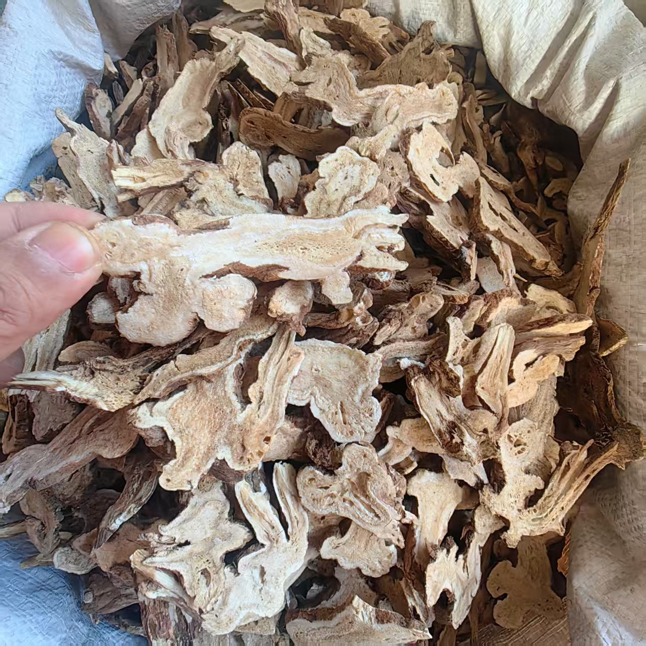 Bai Zhu Powder White Atractylodes Rhizome Fine Ground Herbal Powder 1000g Culinary and TCM Use key features