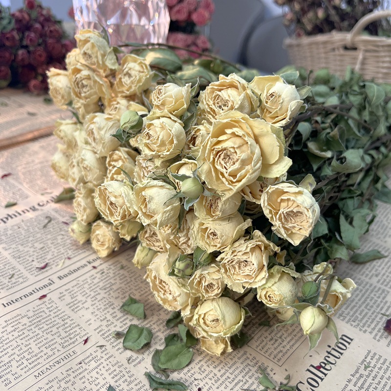 하얀 거품 + 연인을 위한 장미 50송이 이상