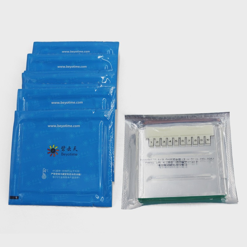 超全BeyoGel Elite PAGE预制胶Bis-Tris P0846S P0859S P0856S