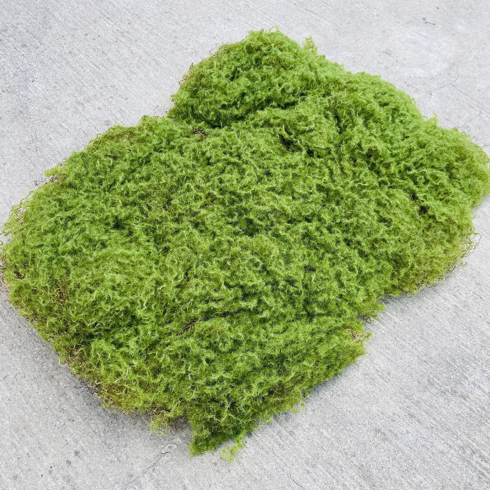 1 piece of tearable thickened spring moss (45X55cm)