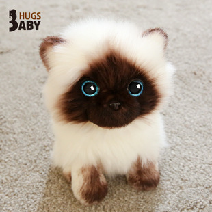 �ȷ���С؈����ë�q��߿ɐ۲�ż؈С؈����żС����Ů�����նY��