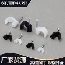 �ᔾ����A��늾��̶������ӾW���۠�ᔾ��늾�����������100ֻ