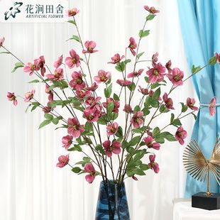 ���W���滨�}�Qõѩ�ɻ��m����c�ҾӲ����b廨�ٻ����滨��