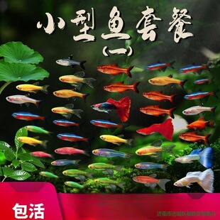 ���w�����~���B�~���ͻ������ˮ�^�p�~С�Ϳ�ȸ���R�~��̖�Ꭷ