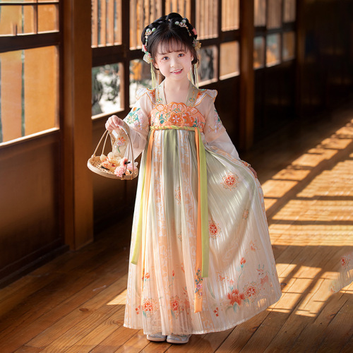 Girls Hanfu 2024 Spring and Autumn New Children's Costume Baby Embroidered Dress Chinese Style Ruskirt Tang Suit Wholesale