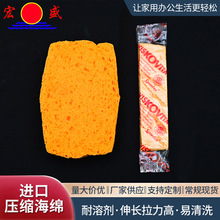 擦版海绵VISKOVITA 印刷水泡 国产压缩海绵 进口擦版压缩海绵耗材