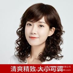 女性の長いカールのシミュレーションのかつらの大きい波の頭カバーの繊維の髪カバーのウールの巻きのリアルな自然の全体カバーの卸売り