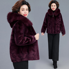 ЋbƤëһw·Ƥë·Ůůq