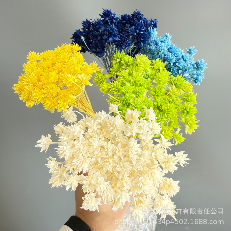 Xiaoshanhua Eternal Flower Manufacturer Direct Sales Home Decoration Bottle Flower Arrangement DIY Handmade Flower Material Xiaoshanhua Small Fresh