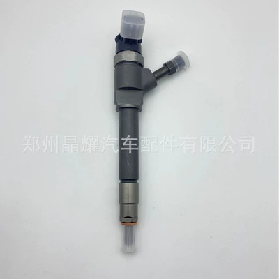 0445110249 Common Rail Injector We0113H50A Oil pump, nozzle