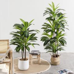 シミュレーション木ブラジル木盆栽シミュレーション緑植ブラジル鉄着地盆栽室内家庭軟装シミュレーション植物