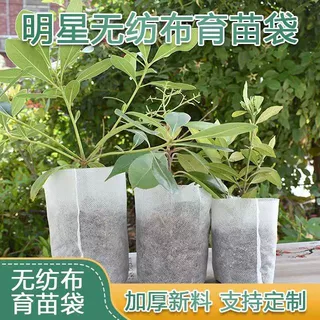 无纺布容器杯可降解免脱袋育苗袋营养袋营养杯尺寸可选花盆环保