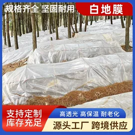 农用薄膜;遮阳网
