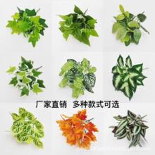 厂家批发仿真绿植7头绿萝万年青小把束植物墙配材室内餐厅装修