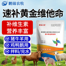 水产电解多维鱼虾蟹水产养殖抗应激VC饲料添加剂水产电解多维